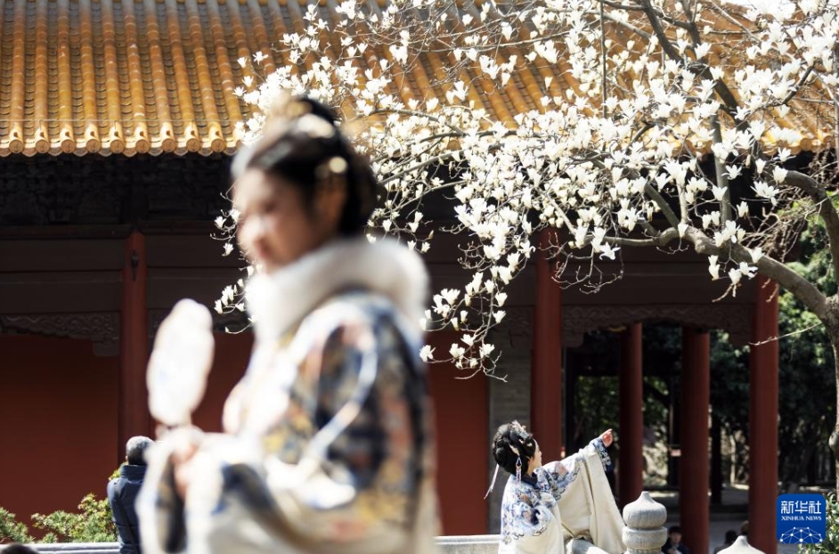 中国各地の人々を魅了する春景色