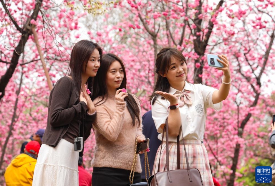 中国各地の人々を魅了する春景色