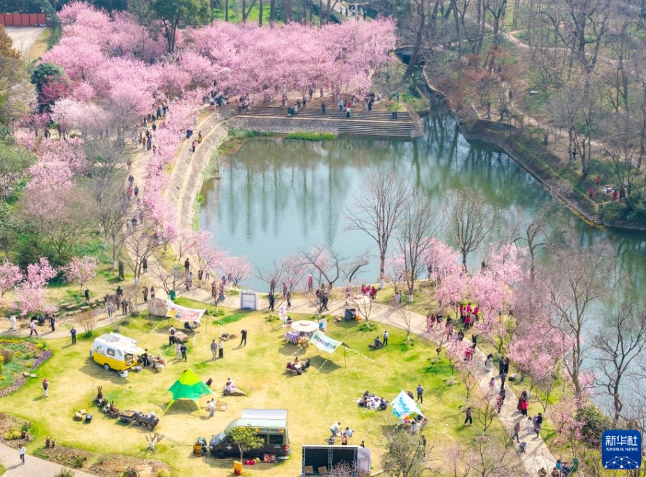 中国各地の人々を魅了する春景色