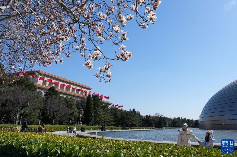 春風が吹き、モクレンが開花　北京