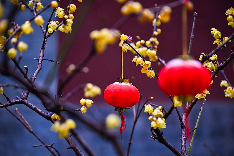 （画像著作権はCFP視覚中国所有のため転載禁止）