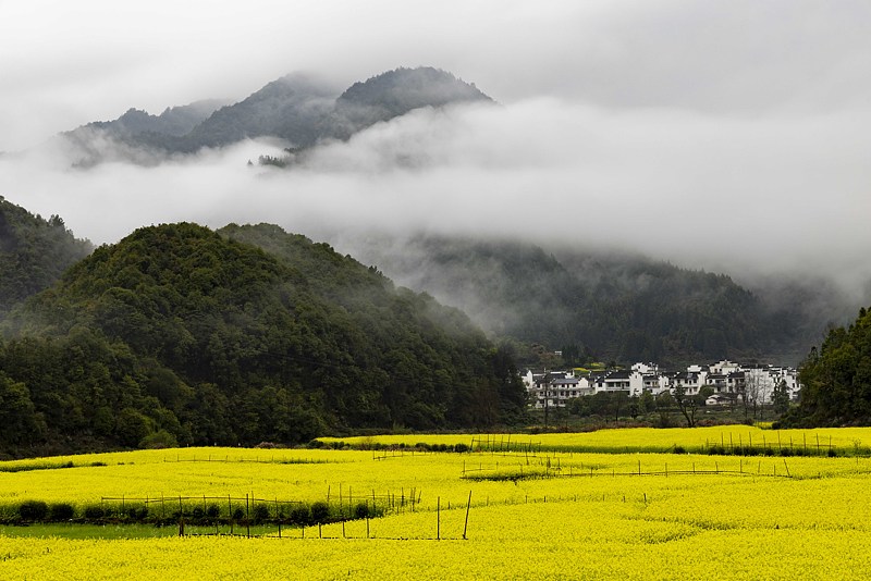 （画像著作権はCFP視覚中国所有のため転載禁止）