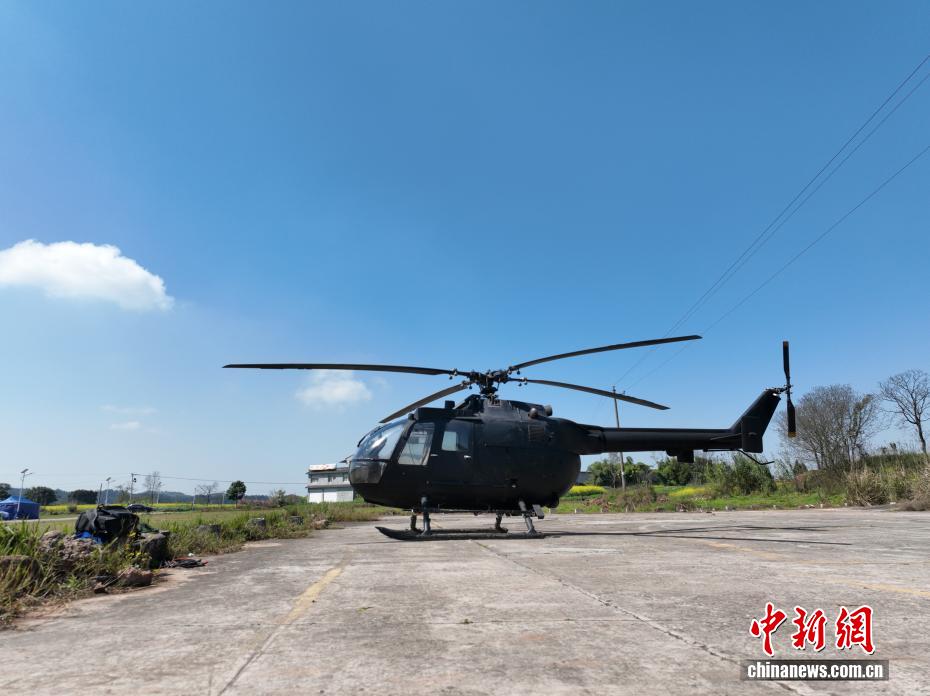 黄色い絨毯を敷き詰めたような一面の菜の花畑　重慶市潼南