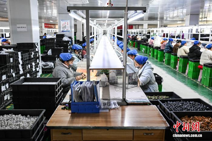 貴州省黔南布依族苗族自治州独山県の経済開発区にある玩具メーカーの工場で作業する作業員（ 3月10日撮影・瞿宏倫）。