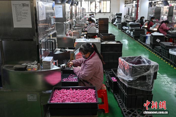 海外からの注文にフル稼働で対応する玩具メーカー　貴州省独山県