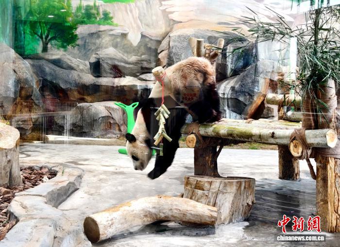 烏魯木斉市の文化観光の新たな目玉となっているパンダ館（撮影・史玉江）。