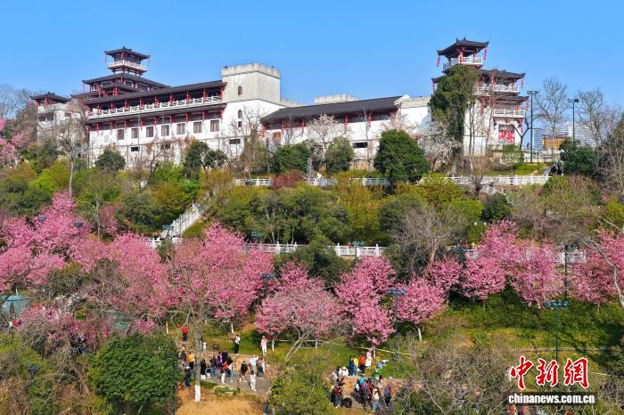 桜が満開となり、行楽客でにぎわう「春の山」　湖北省武漢