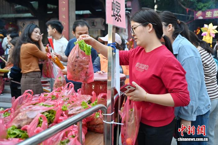 レタスで財を成す？民俗イベント「坑口生菜会」開催　広東省広州