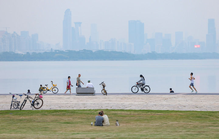 「鳥のために消灯」　「鳥にやさしい都市」を目指す深セン