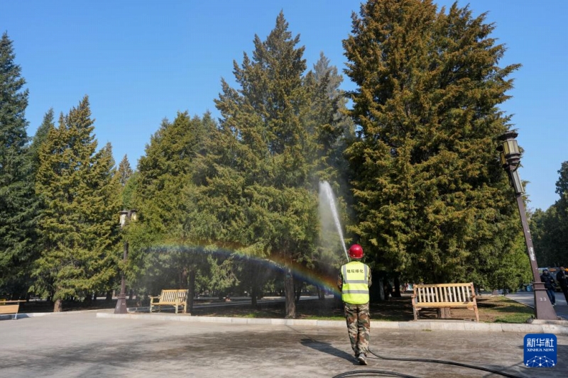 花粉シーズンに突入した北京市、各種対策を実施
