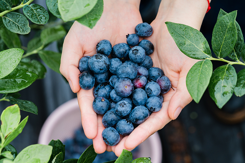 (写真著作権は視覚中国が所有のため転載禁止)