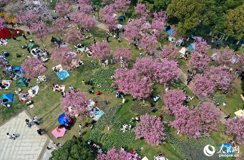 春の散策と花見のベストシーズン到来　江西省南昌