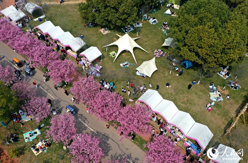 春の散策と花見のベストシーズン到来　江西省南昌