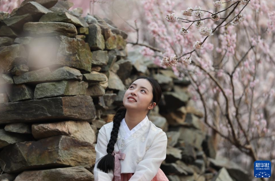 春たけなわの心躍る季節に