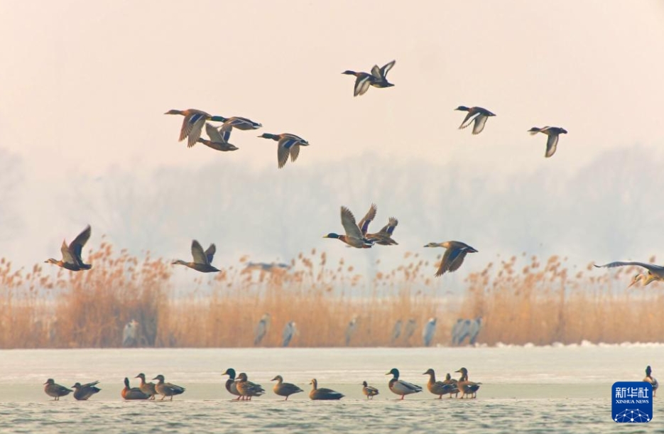 春たけなわの心躍る季節に