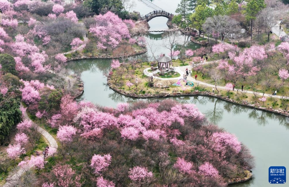 春たけなわの心躍る季節に