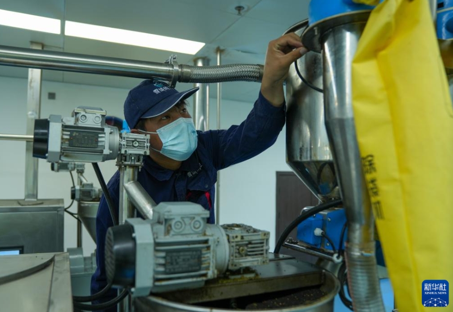 生態優位性＋技術革新で農民を増収に導く西蔵・山南