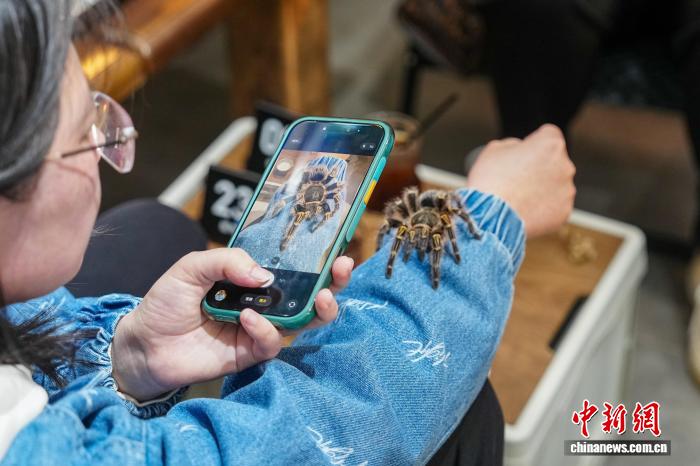 エキゾチックなアニマル・カフェが人気に　雲南省昆明