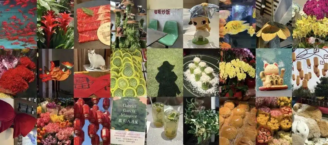 徐さんと友人が「カラーウォーク」中に撮影した写真（写真提供・取材対象者）。