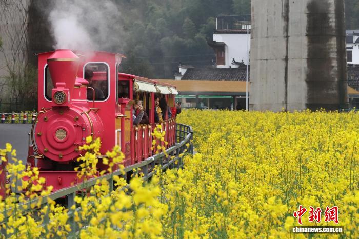 菜の花畑を駆け抜けるレトロなミニSL　江西省婺源