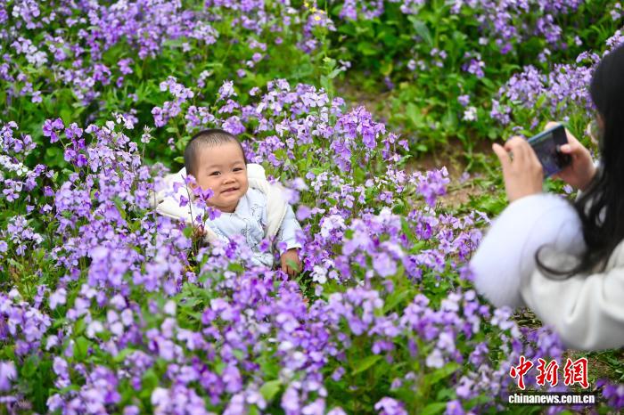 花畑をそぞろ歩きし、春を楽しむ市民　安徽省合肥