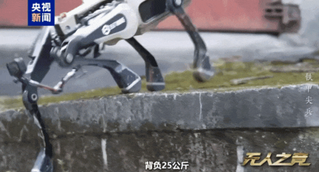 初公開！中国のロボットウルフ群による市街戦映像