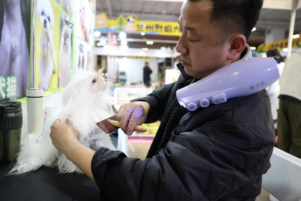 新たな消費シーンを切り開くペット経済