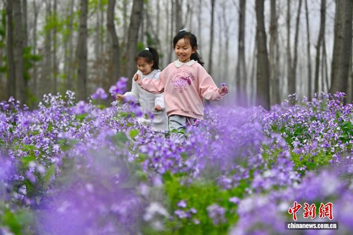 初めての「春休み」を満喫する子どもたち　安徽省合肥