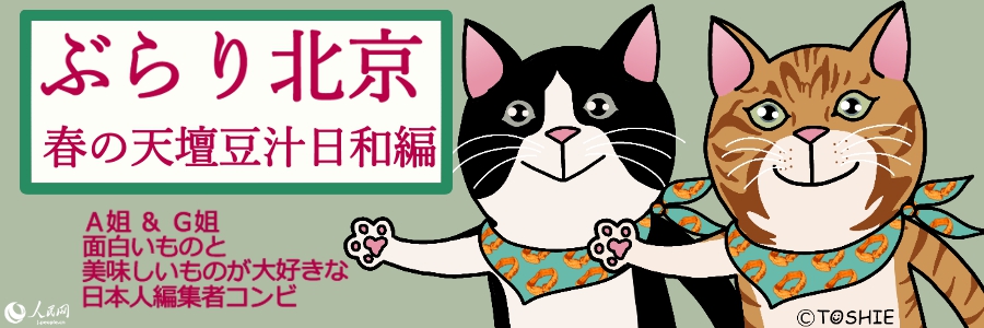 【ぶらり北京】春の天壇豆汁日和編番外編①　天壇おじいさん