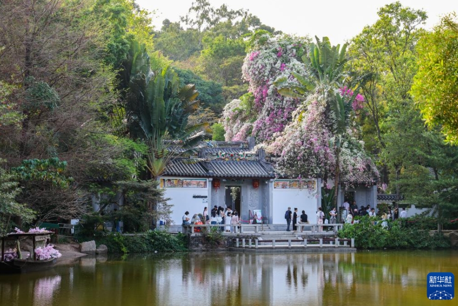 公園で町おこし、経済に新たな活力を放出する「公園＋」　広東省深セン