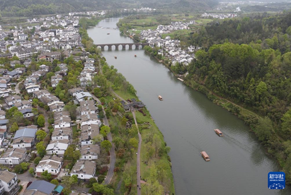 清明節連休は野山に出かけて春の景色を楽しもう