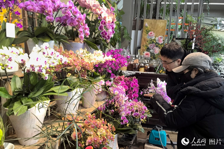 吉林省松原市のある村の温室にランの花を購入しに来た人々(撮影・王海躍)。