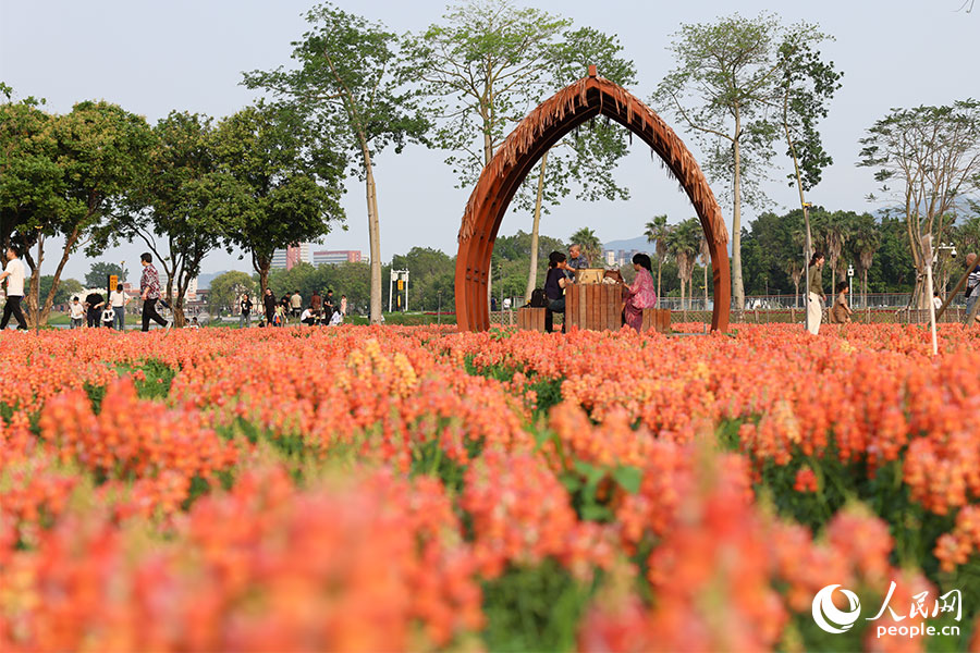 市民や観光客の注目を集める「花の世界」　福建省漳州市