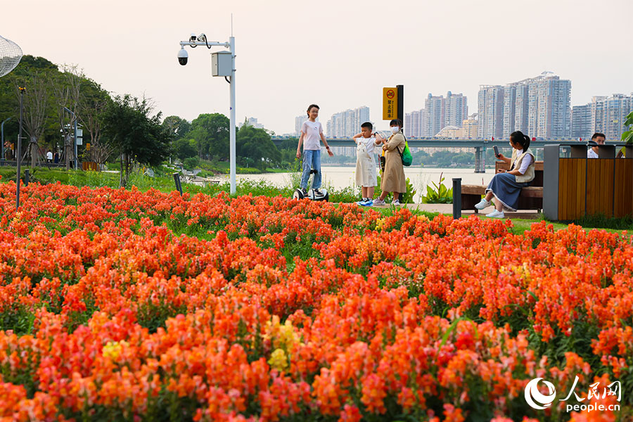 市民や観光客の注目を集める「花の世界」　福建省漳州市