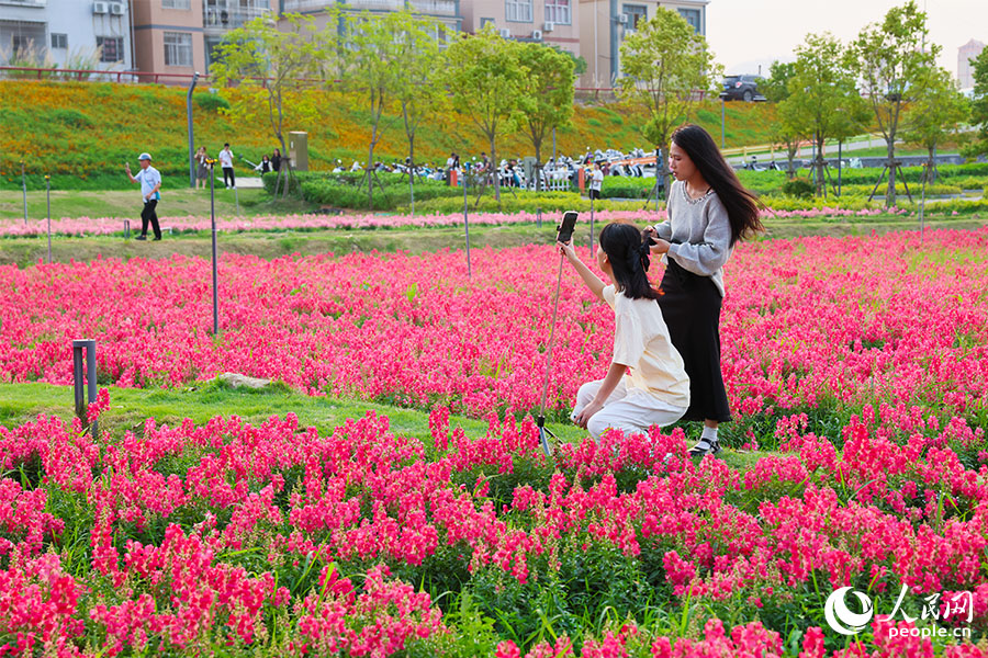 市民や観光客の注目を集める「花の世界」　福建省漳州市