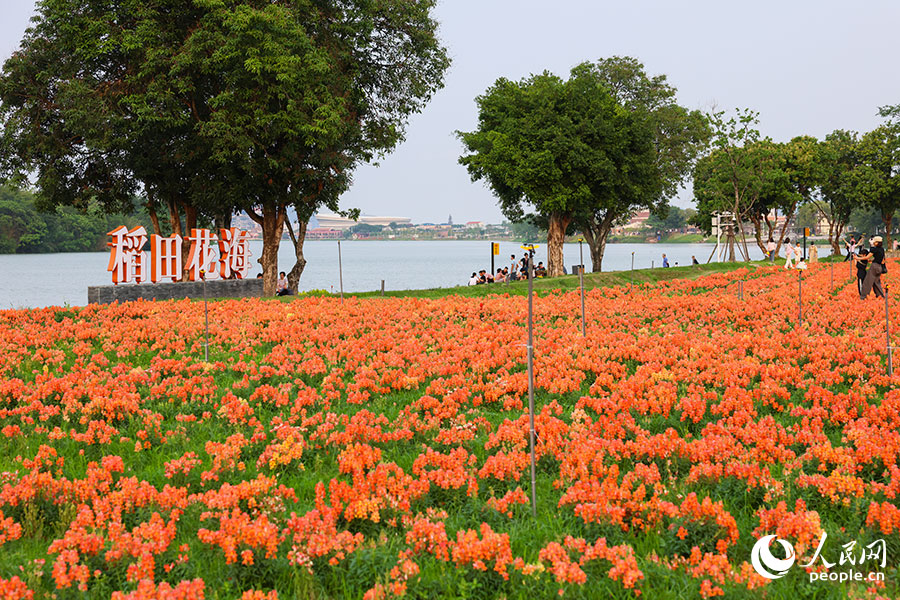 市民や観光客の注目を集める「花の世界」 福建省漳州市