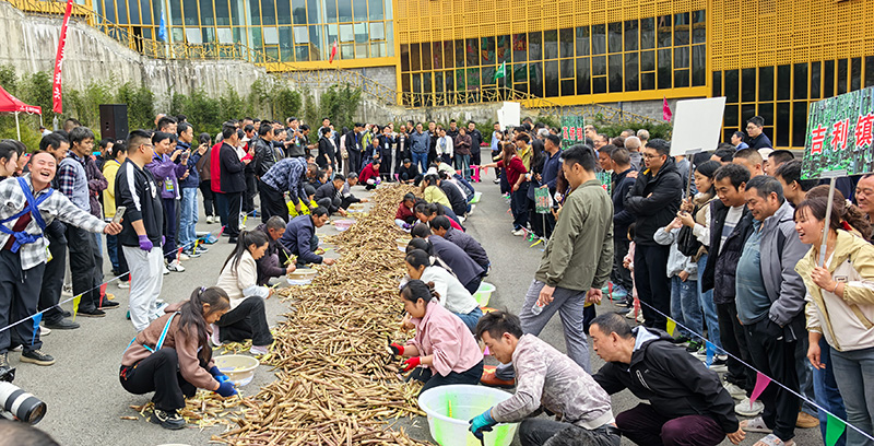 ラカンチク産業の活力を反映するイベント開催　雲南省大関