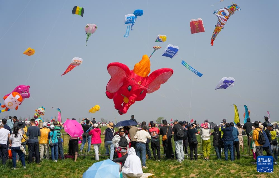空に舞うユニークな凧の数々　第43回濰坊国際凧揚げ大会