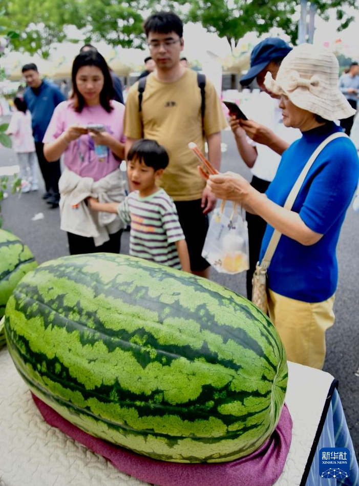 北京大興スイカフェスティバルが開幕
