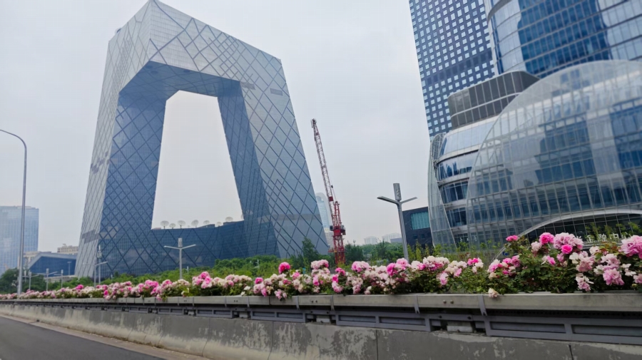 2026年5月16日に撮影された中央電視台本部ビル（CCTV)本部ビル（撮影・趙雯博）。