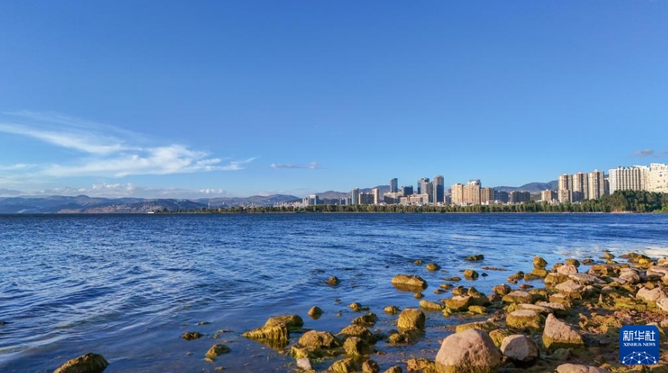 淡水湖・洱海の夏の風景（5月31日ドローンによる撮影・彭奕凱）。