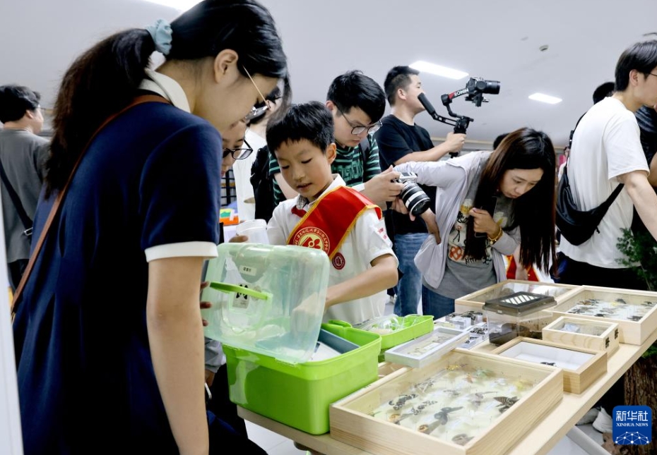 校内に「1平方メートル博物館」登場　上海