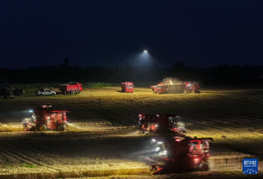2026年6月2日夜、小麦の収穫作業に照明を提供するドローン（ドローン撮影）。撮影・杜宇