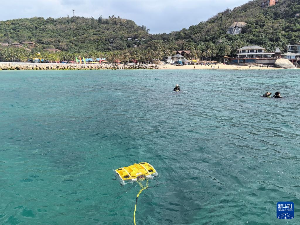 潜水や監視、巨大船の洗浄までこなす画期的な海洋技術の数々