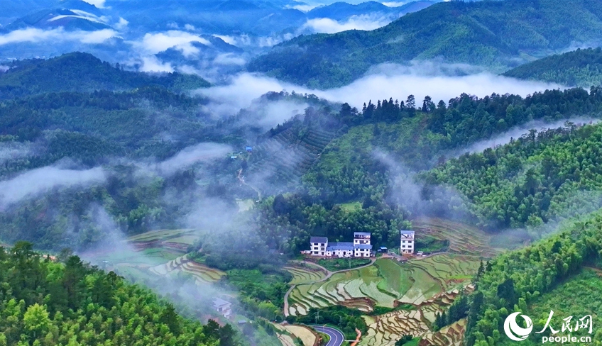 崇義県上堡郷の上堡棚田（撮影・朱海鵬）。