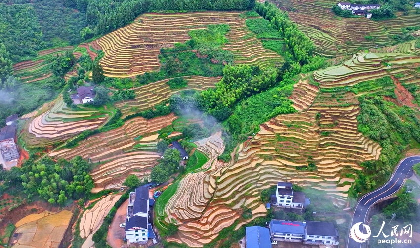 棚田の夏の絶景広がる江西省崇義県