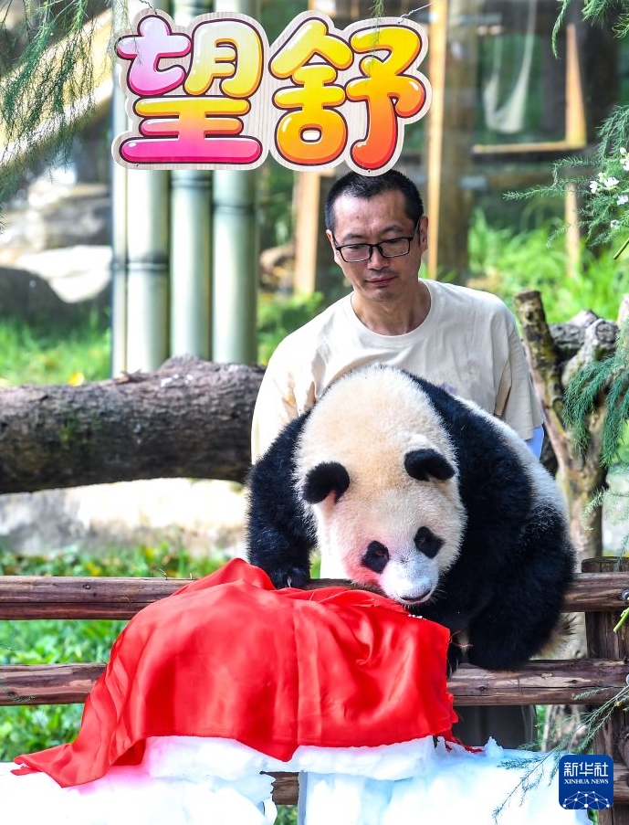 ジャイアントパンダ「良月」の赤ちゃんが1歳に　重慶動物園