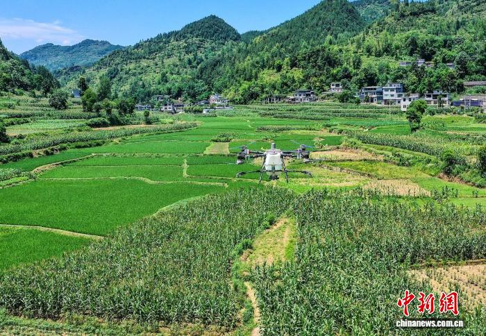 貴州省銅仁市、ドローンで新たな発展の道を切り開く山岳農業