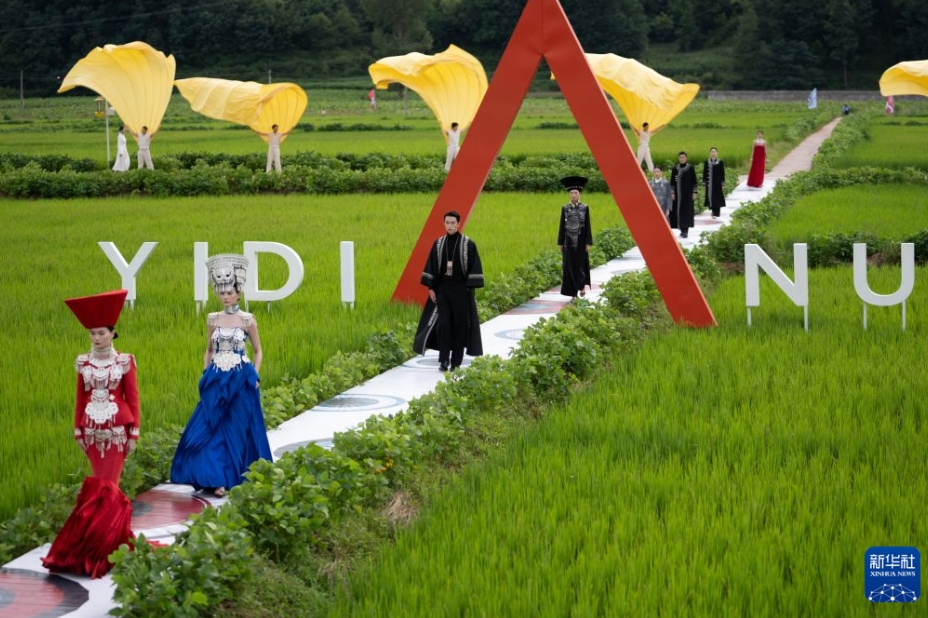 越西県普雄鎮且拖村の田んぼに設けられた「ランウェイ」で、伝統衣装を着て歩くモデル。（8月4日撮影・江宏景）