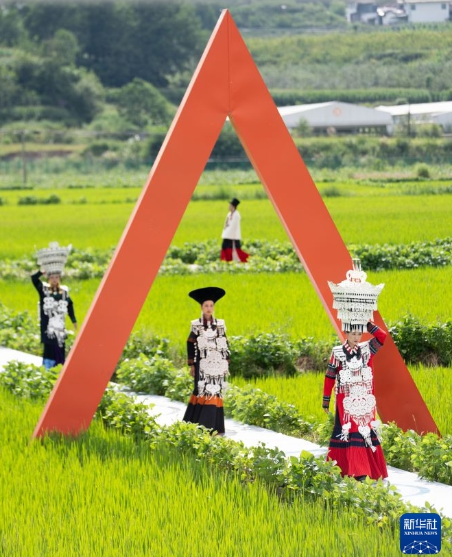 四川省の田んぼで彝族の伝統衣装ファッションショー